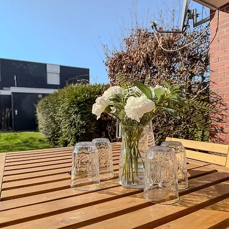 Nordstern - Schillig